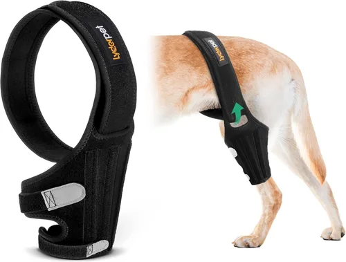 Rodillera para perros para pierna trasera, soporte fuerte que reduce el dolor y la inflamación, mejor recuperación para lesiones de ligamento