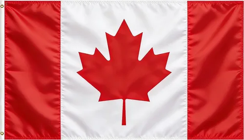 Miniatura 61 de Bandera de Estados Unidos, bandera de Estados Unidos, 3 x 5 pies, banderas ligeras de poliéster con 2 ojales de latón para decoraciones de fiestas