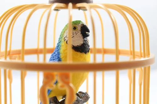 Miniatura 6 de Haktoys funciona con pilas, pájaros que cantan, Parent