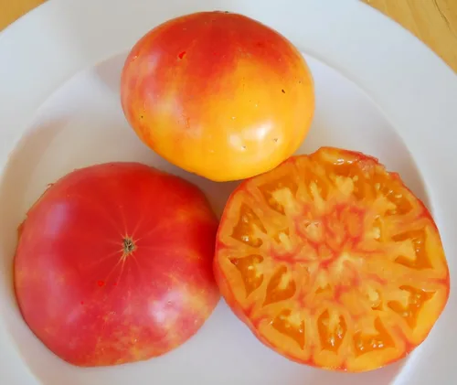 Semillas de tomate reliquia de piña - Más de 30 semillas