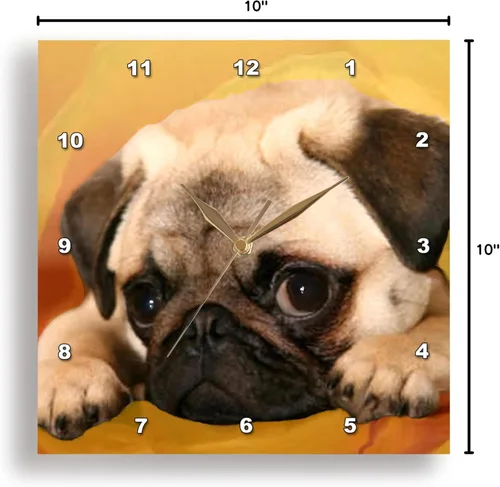 Miniatura 9 de 3drose Reloj de pared Pug, 10 x 10 pulgadas