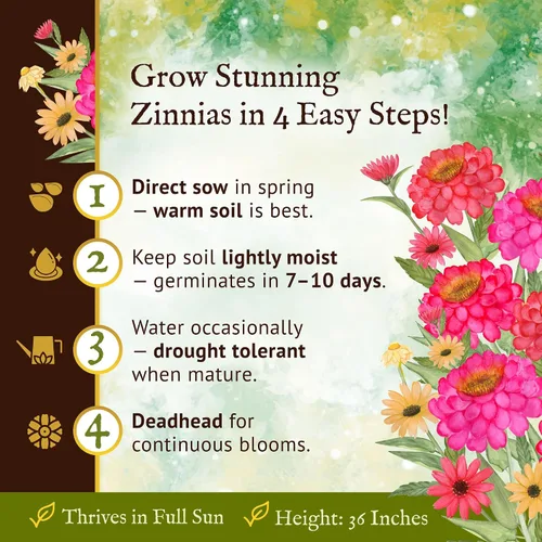 Miniatura 5 de Everwilde Farms - Mezcla de semillas de flores silvestres de Zinnia de los Gigantes de California de 1 onza - Gold Vault
