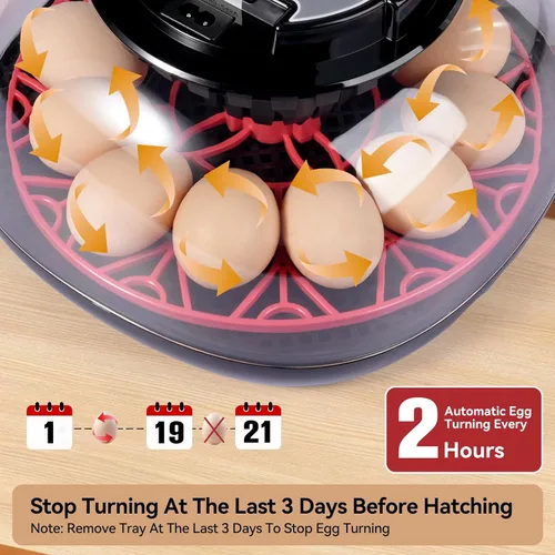 Miniatura 2 de Incubadoras de 12 huevos para incubar huevos, incubadora de huevos de pollo con giro automático de huevos y control de temperatura y humedad, tapa