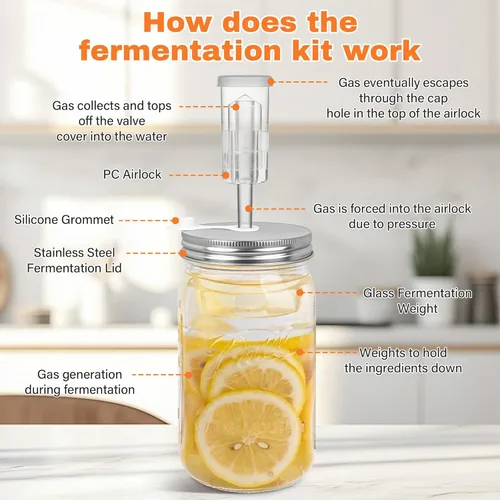 Miniatura 8 de Xileanalee Kit de fermentación para tarro Mason de boca ancha, chucrut/decapado con 4 pesos de fermentación de vidrio, 4 tapas de fermentación, 4