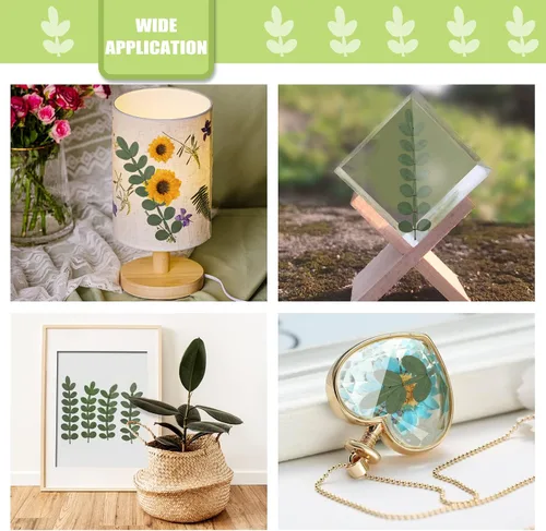 Miniatura 5 de Hojas secas prensadas naturales para resina, 42 piezas de hojas espinosas secas reales para arte de resina, manualidades, tarjetas, álbumes