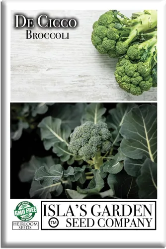 De Cicco - Semillas de brócoli (Brassica oleracea), más de 300 semillas sin OMG y reliquias de Isla's Garden Seeds, reliquia italiana para cosechas