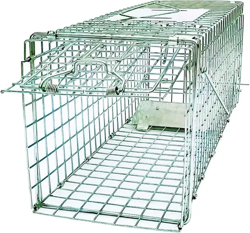Trampa de jaula para animales pequeños plegable de 24" humana y sin matar, kit de captura y liberación para roedores, gatos pequeños, conejos,