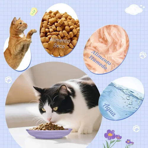 Miniatura 3 de Paquete de 8 tazones de cerámica para comida de gato, cuencos coloridos para gatos aptos para bigotes, platos anchos poco profundos de 5.9