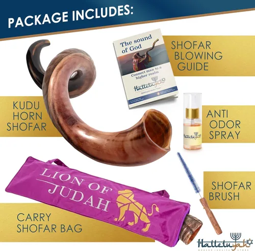 Miniatura 5 de HalleluYAH Shofar Kosher original de cuerno Kudu medio pulido de Israel