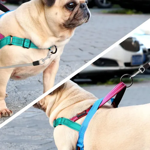 Miniatura 3 de Didog Arnés para Perros sin Jalón con Mango Acolchado Suave, Ajustable y Ligero, Chaleco de Ajuste Rápido, Fácil para Entrenamiento y Paseo para Azul