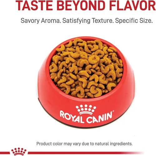 Miniatura 2 de Royal Canin Feline Breed Nutrition American Shorthair - Alimento seco para gatos adultos, bolsa de 5.5 libras