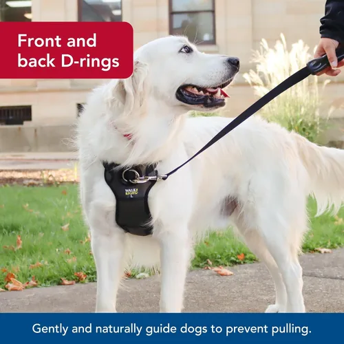 Miniatura 5 de Coastal Pet Walk Right - Arnés acolchado para perro con conexión frontal y sin tirones, ajustable y cómodo, ajuste para razas pequeñas y grandes