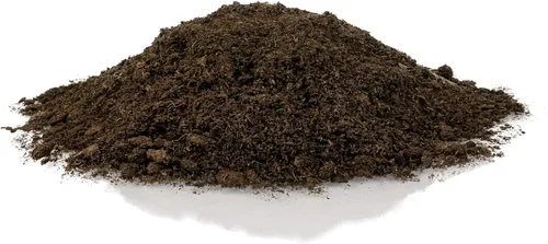 Miniatura 2 de Musgo de Turba de Esfagno Natural Premium - Enmienda de Suelo de Jardinería y Medio de Suelo para Plantas Carnívoras de Gardenera (Bolsa de 1 Cuarto)