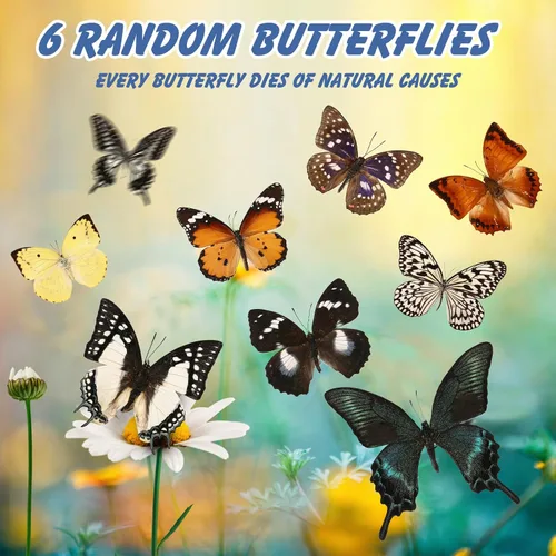 Miniatura 4 de WTUAWB 6 piezas de mariposa de taxidermia real – especímenes de producción creativa de bricolaje, animales de taxidermia para caja de sombra