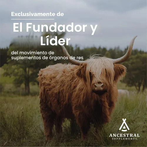 Miniatura 4 de Ancestral Supplements Suplemento de hueso vivo de carne de res alimentada con pasto, cápsulas de harina de hueso que apoyan la salud ósea, la salud