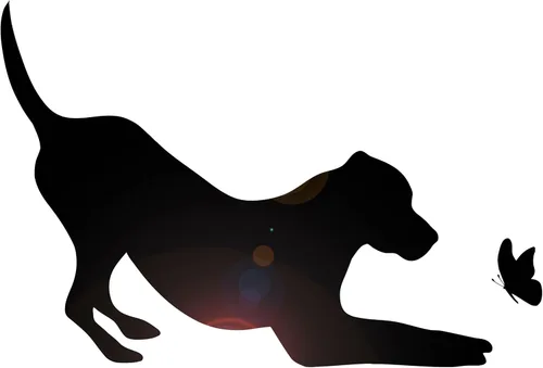 Vinilo adhesivo de pared Pet Shop Silueta Perro con Mariposa Animal Pegatinas Decoración Grande (2921ig) Negro