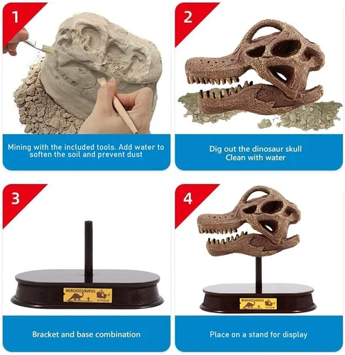 Miniatura 5 de ArtCreativity Kit de excavación de dinosaurios para niños, juego de excavación de cráneo de braquiosaurio con herramientas de excavación de fósiles