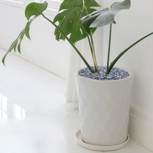 Miniatura 5 de YISZM Grava para suculentas y cactus de 10 libras, guijarros pulidos decorativos naturales de 1/5 pulgadas para paisajismo, rocas de río gris