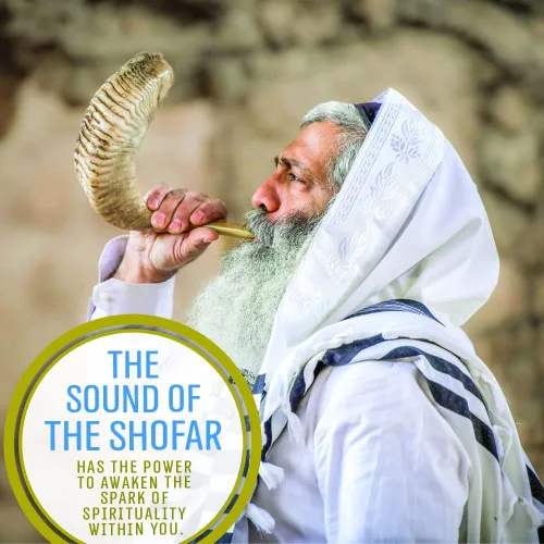 Miniatura 5 de Holy Voice Cuerno de Carnero Kosher Shofar de Israel – Cuerno Musical de 14"-16" con Bolsa para Shofar – Regalos Decorativos y Funcionales