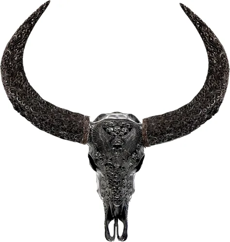 Miniatura 17 de Skull Bliss - Auténtica calavera de búfalo tallada a mano de taxidermia real/Decoración de pared única con calavera de toro real/Decoración genuina