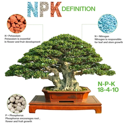 Miniatura 4 de Fertilizante multiusos para bonsái de The Bonsai Supply – 5oz Resultados rápidos Micro nutrientes para la salud vital del bonsái