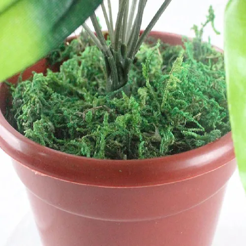 Miniatura 6 de Musgo de bosque seco artificial, musgo verde preservado para plantas en maceta, mezcla de orquídeas, esfagno, turba y musgo, manualidades