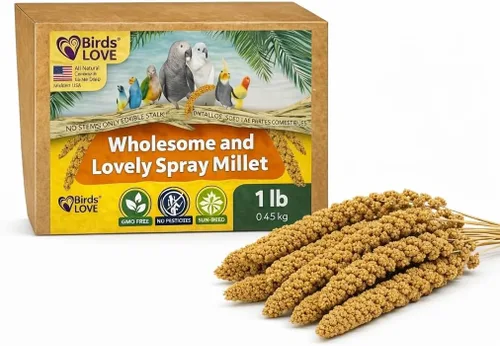Birds LOVE Mijo en aerosol saludable de 1 libra para pájaros, cultivado en Estados Unidos, natural secado al sol, racimos gruesos ricos en semillas
