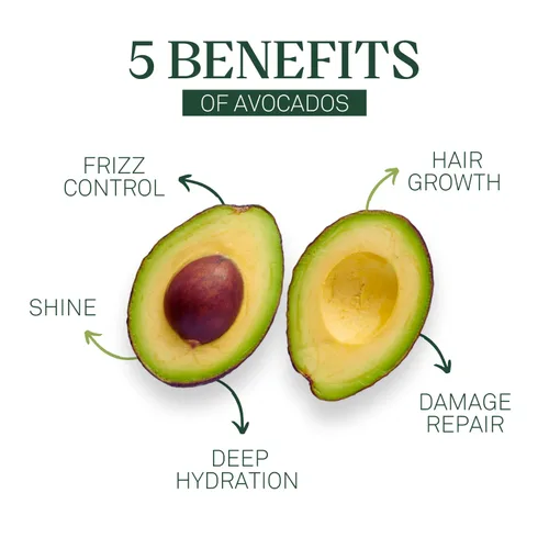 Miniatura 3 de EVA + AVO Kit de viaje de champú y acondicionador de aguacate, 2 onzas líquidas, limpieza suave sin sulfatos para cuero cabelludo seco, cabello