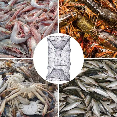 Miniatura 4 de Trampas plegables portátiles para cangrejos, redes plegables para langosta, camarón, carpa, cangrejos de río, alambre de acero galvanizado, malla