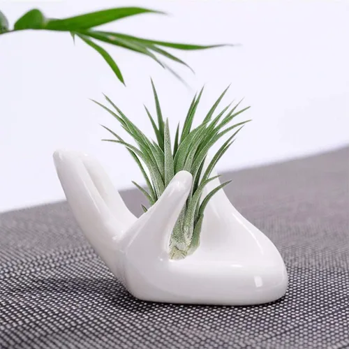 Miniatura 6 de Paquete de 6 soportes de cerámica para plantas de aire, forma de mano, contenedor de plantas de aire Tillandsia, maceta, exhibición de plantas