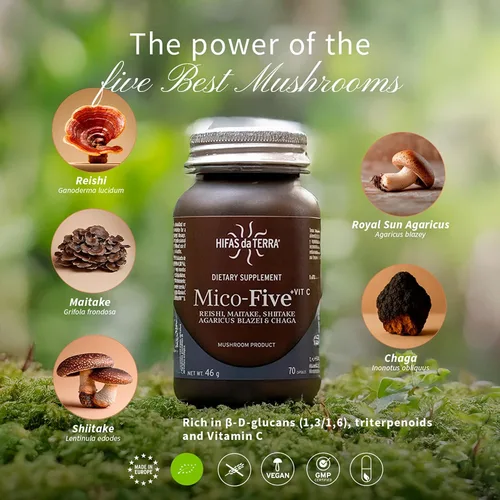 Miniatura 4 de HIFAS DA TERRA Mico-Five - Cápsulas complejas de hongos - Suplemento de apoyo inmunológico - Mezcla de extracto de Reishi, shiitake, maitake, chaga