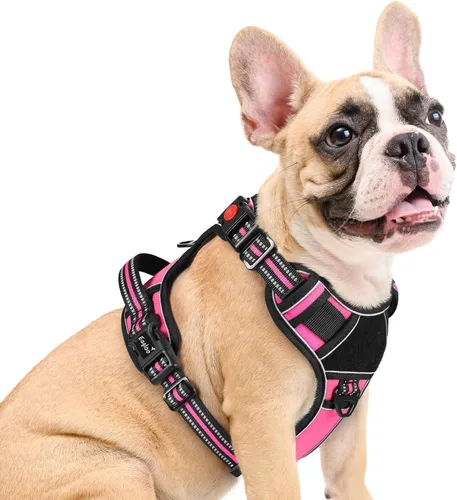 Miniatura 25 de Eagloo Arnés para perro de tamaño pequeño, fácil de llevar con 3 hebillas, arnés ajustable sin tirones para mascotas con sistema MOLLE, chaleco