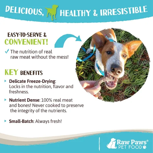 Miniatura 5 de Raw Paws Cuellos de pollo liofilizados para perros y gatos (4 onzas) – Fabricado en Estados Unidos – Golosinas crudas liofilizadas para perros