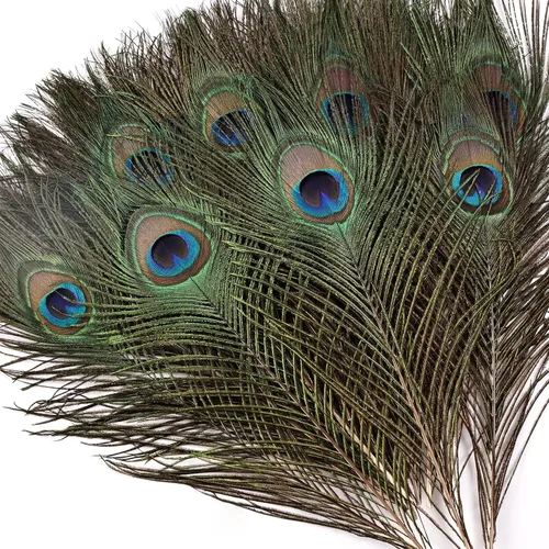 Miniatura 8 de iHUFeather 10 plumas naturales de ojo de pavo real de 10 a 12 pulgadas para arreglos florales, bodas, hogar y decoración de fiestas, natural