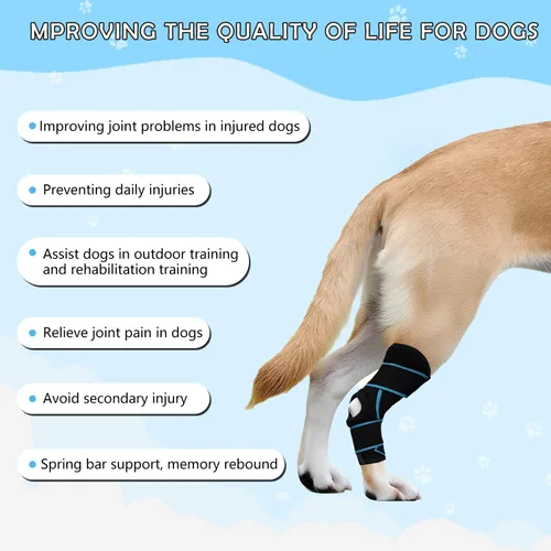 Miniatura 5 de Rodillera de perro para pierna trasera, soporte de ACL para perros grandes, soporte ajustable para piernas de perro para lesiones en las piernas
