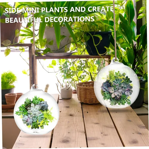 Miniatura 6 de BESTonZON 6 jarrones colgantes de terrario para plantas suculentas, macetas decorativas de interior, botellas ecológicas hidropónicas de vidrio