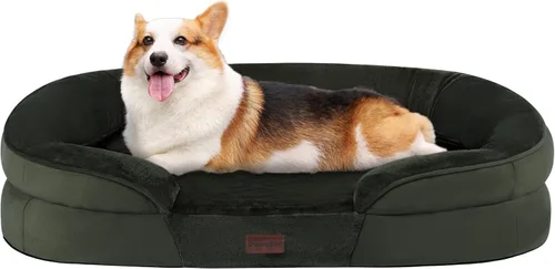 Miniatura 28 de Dwanton - Cama ortopédica para perros medianos con espuma de memoria con gel, sofá impermeable para perros, cama lavable para mascotas con cojín