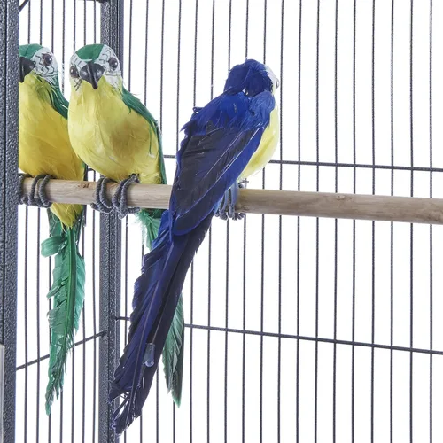 Miniatura 5 de Panana Jaula grande de metal para pájaros con soporte, jaula de loro rodante para cacatúas, conures grises africanos, periquitos, pinzones, pájaros