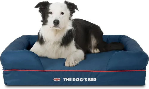 Miniatura 48 de The Dog's Bed - Cama ortopédica de espuma viscoelástica para perros medianos, colchón de soporte de alta densidad, entrada frontal baja, funda negro