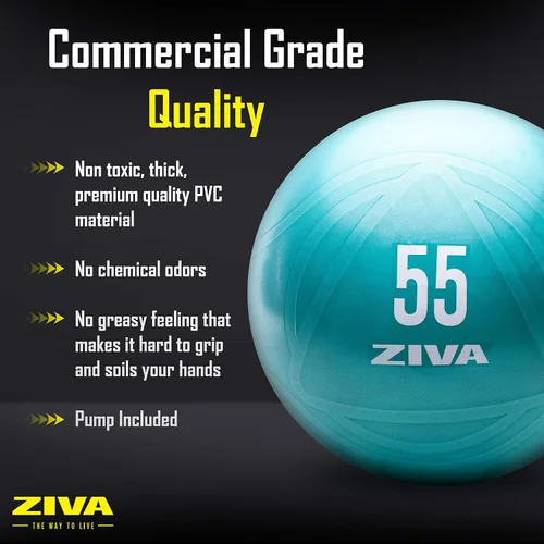 Miniatura 4 de Ziva Pelota de ejercicio de fitness con núcleo antiestallido, pelota de yoga antideslizante de grado profesional para equilibrio de estabilidad