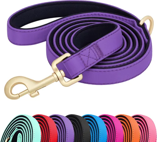 Miniatura 9 de Didog Correa para perro de nailon colorido de 5 pies con acolchado suave de longitud completa, ligera y duradera para perros pequeños, negro, S