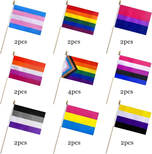 Miniatura 5 de Progress Rainbow - Juego de banderas de orgullo gay en palo de madera, pequeñas banderas de mano LGBTQ Inlcusivas, 5 x 8 pulgadas, paquete de 20