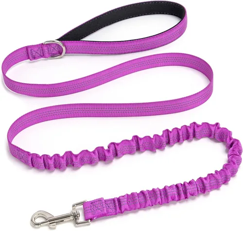 Miniatura 10 de Correa elástica para perro, correa de nailon reflectante y absorbente de golpes de 5 pies, entrenamiento antitirones para perros pequeños/medianos