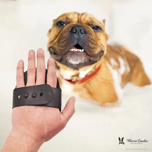 Miniatura 8 de Warren London Cepillo de baño y novio 2 en 1 para perros y gatos - Depurador y aplicador de silicona negra para champú, mantequilla hidratante