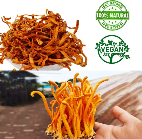 Miniatura 4 de Cordyceps Flower Dry Pot Ingredientes de sopa Alimentos que son beneficiosos para la salud (8 onzas)
