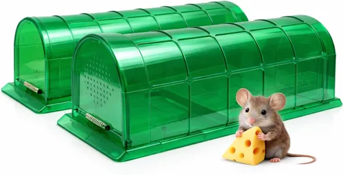 Trampa humana para ratones para interiores para el hogar, captura y liberación en vivo con cámara ventilada, paquete de 2 trampas reutilizables para