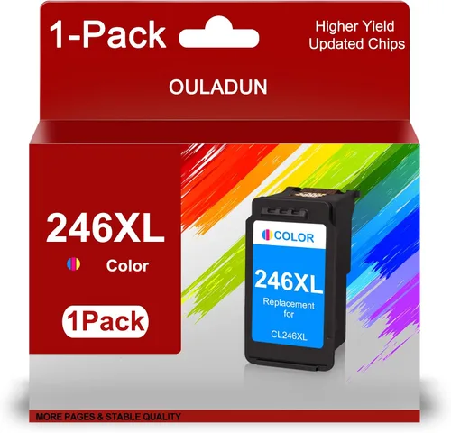Cartucho de tinta 246XL de alto rendimiento de repuesto para Canon CL-246XL Cartucho de tinta de color 246XL 244XL compatible con impresora Pixma
