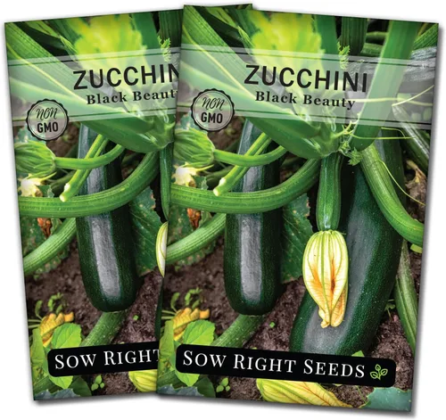 Sow Right Seeds - Semillas de calabacín Black Beauty para plantar - Paquete de reliquia sin OMG con instrucciones para plantar un huerto casero -
