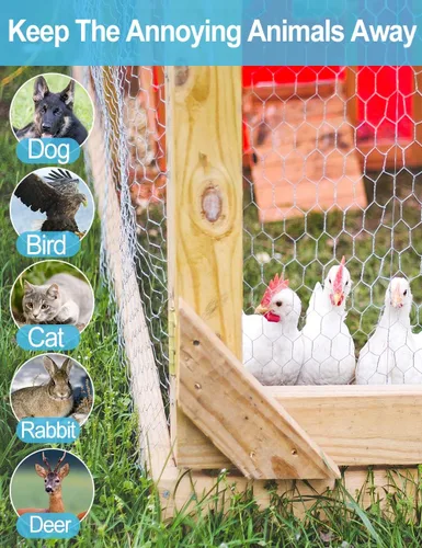 Miniatura 2 de TOYPOPOR Alambre de pollo de 16 pulgadas x 66 pies (15.7 in x 65.6 ft), malla de alambre galvanizado hexagonal antioxidante para exteriores