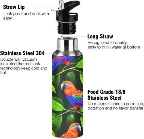 Miniatura 3 de Insulated Stainless Steel Water Bottle with Straw 20 Oz, BPA-Free Sports Water Bottle with Straw for Gym Outdoor Travel School, Vibrant Birds Green